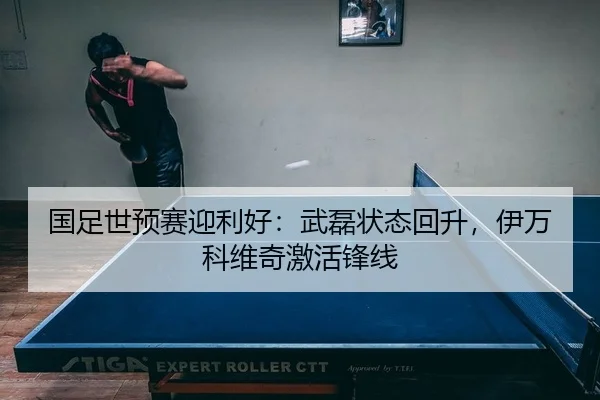 国足世预赛迎利好：武磊状态回升，伊万科维奇激活锋线
