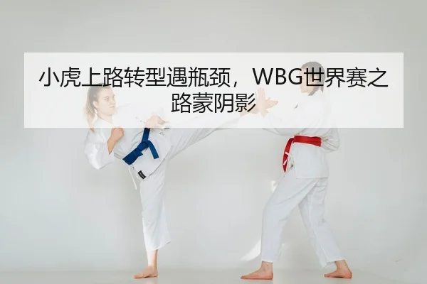 小虎上路转型遇瓶颈，WBG世界赛之路蒙阴影